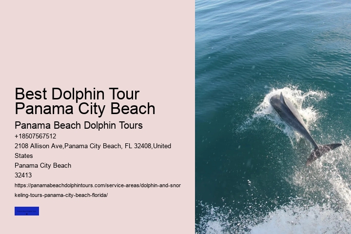 Where Is The Best Place For Dolphin Watching