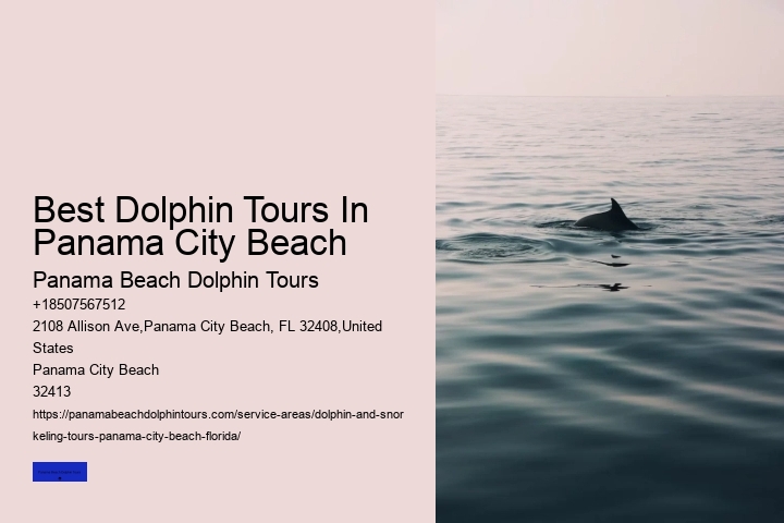 Diving With Dolphins