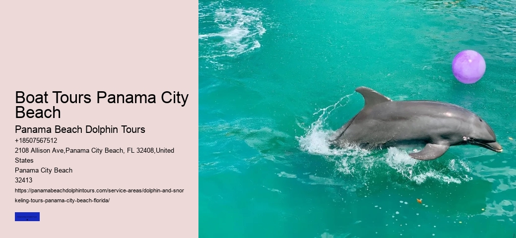 Dolphin Cruise In Panama City Beach