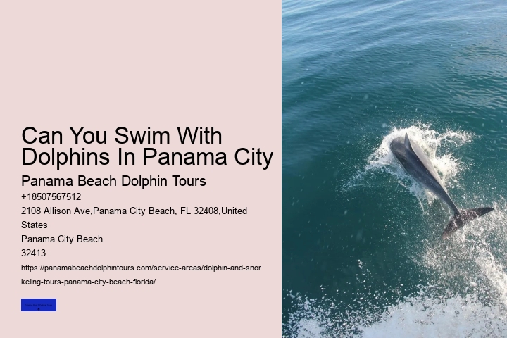 What Park InFlorida Can You Swim With The Dolphins