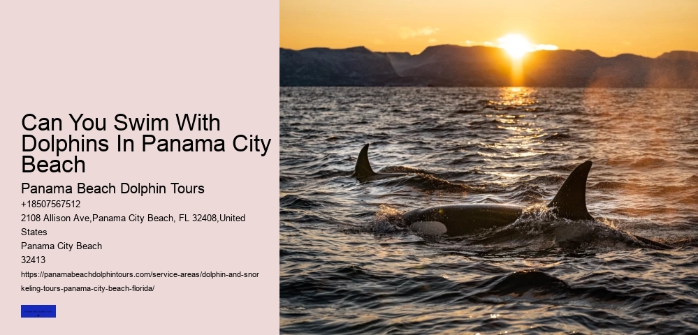 Sunset Boat Tours Panama City Beach