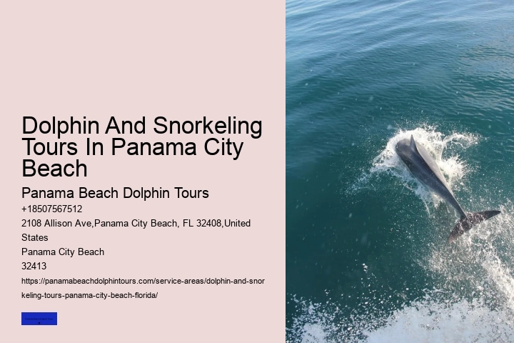 Best Dolphin Tour Panama City Beach