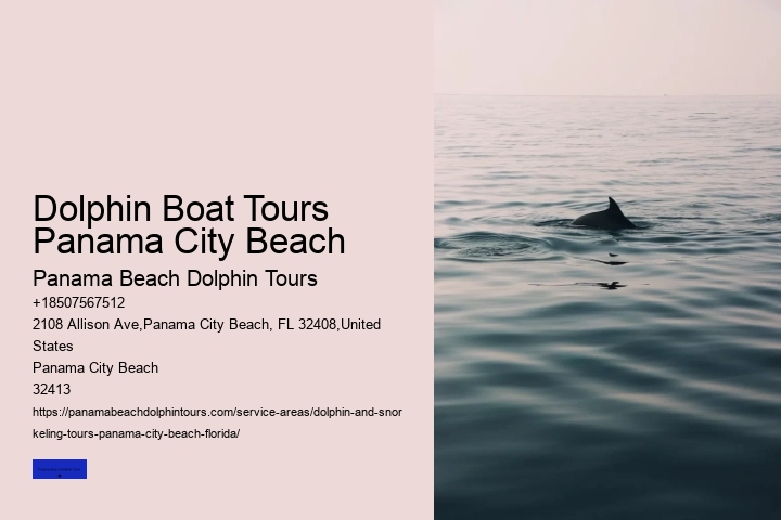 Dolphin Encounters