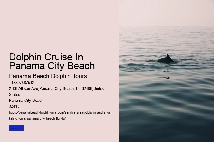 Dolphin Programs