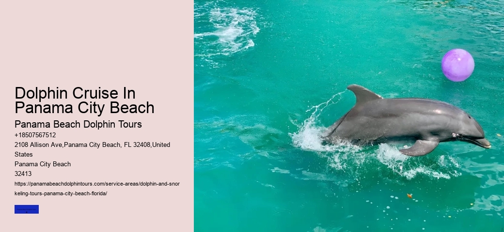 Dolphin Tours Panama City Beach Prices