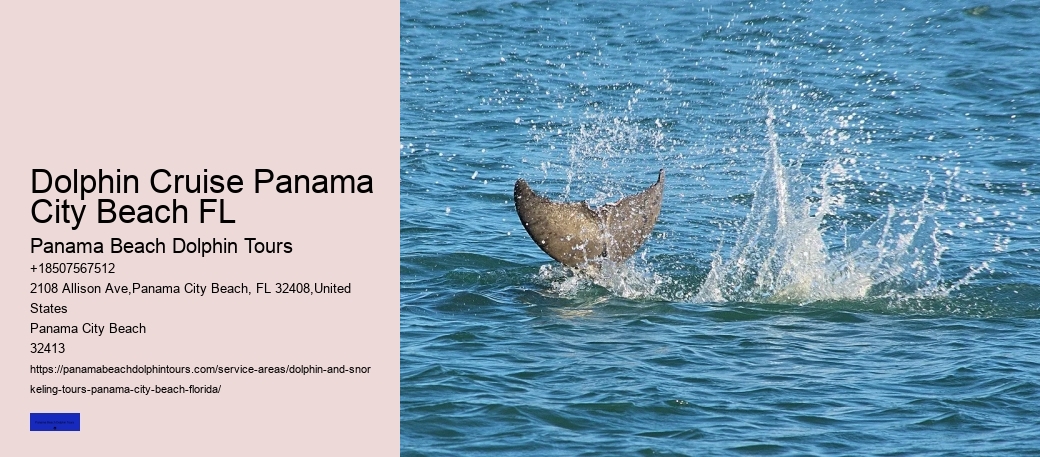 Dolphin Tour