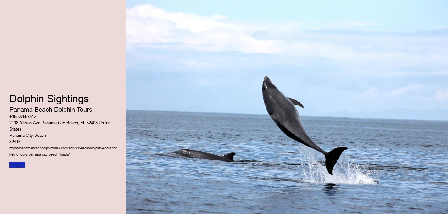 Wildlife