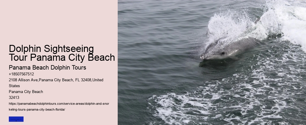 Dolphins In