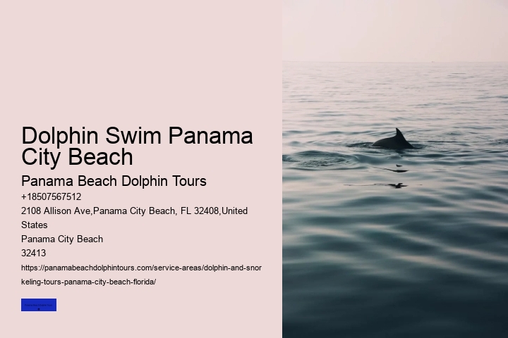 Dolphin Encounters