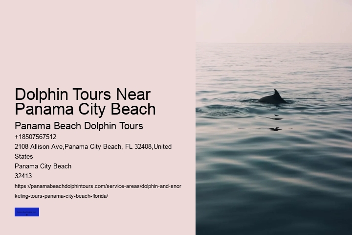 Dolphin Tours In Panama City Beach Florida