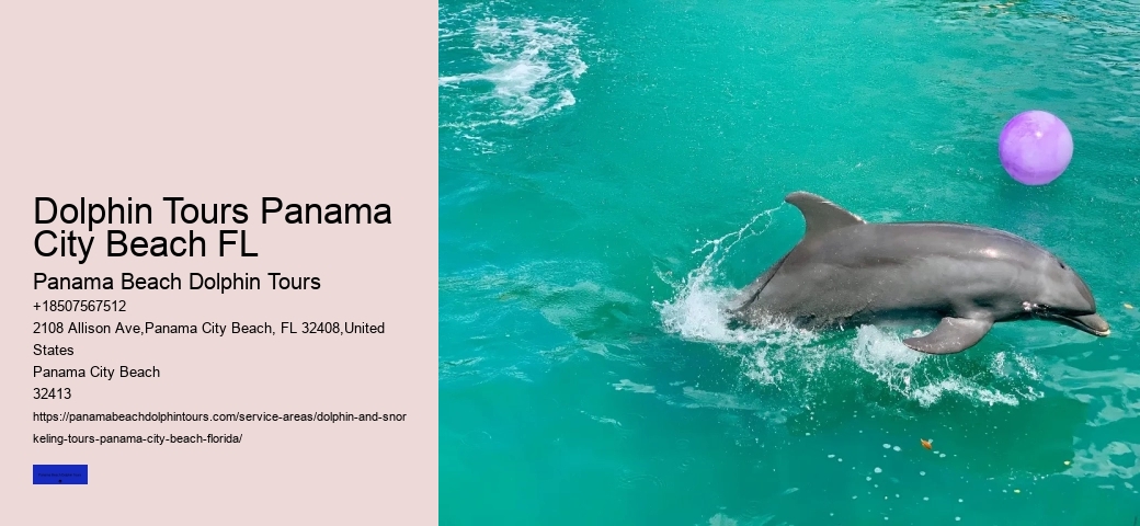 Do Dolphins Ever Bite Hooks