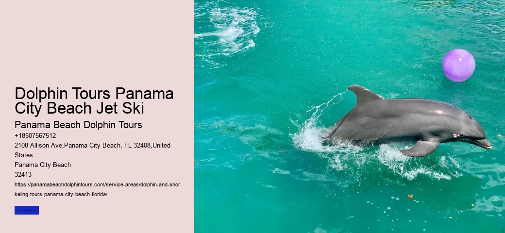 Is There A Weight Limit For Swimming With Dolphins