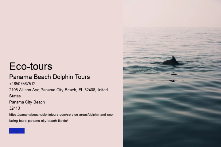 Dolphin-watching