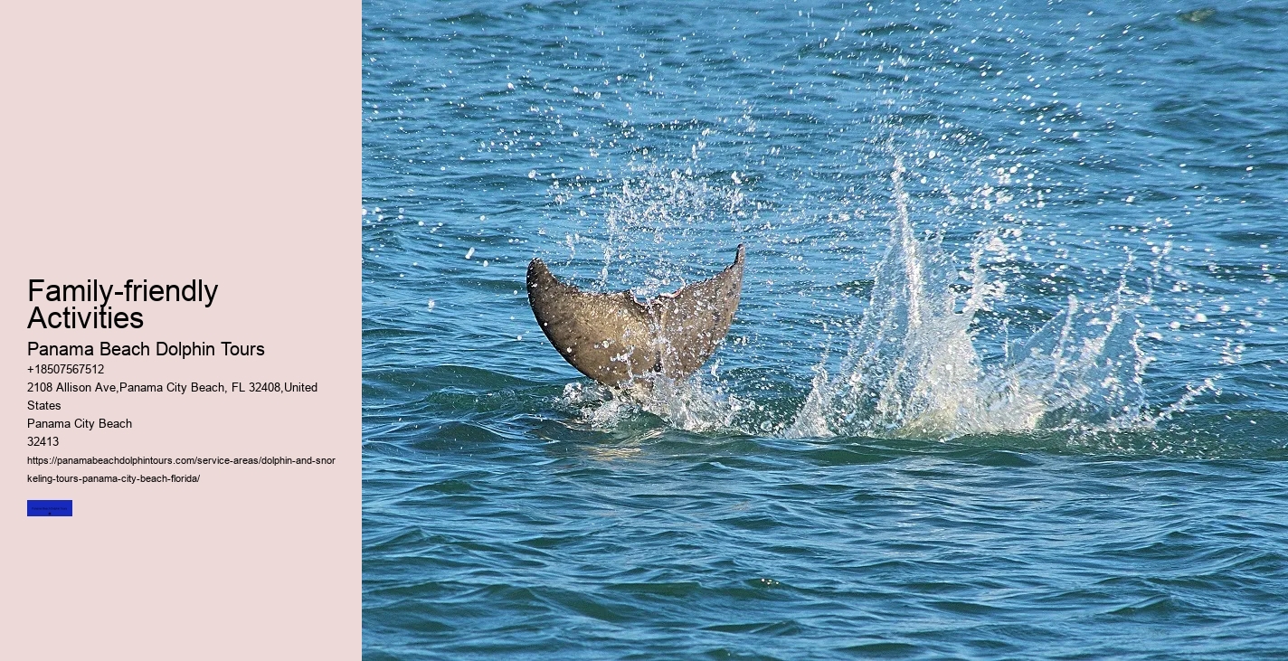 Panama City Beach Dolphin Tours & More Tours