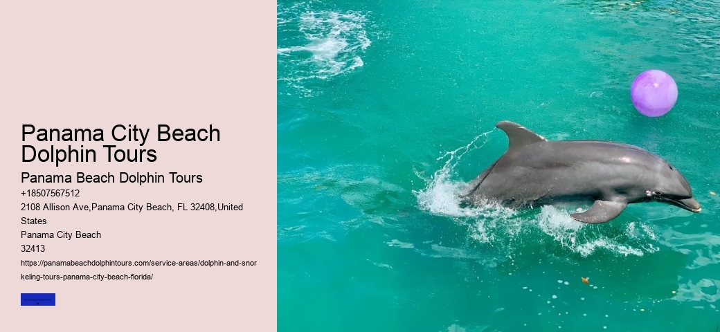 Why Are Dolphins Evil