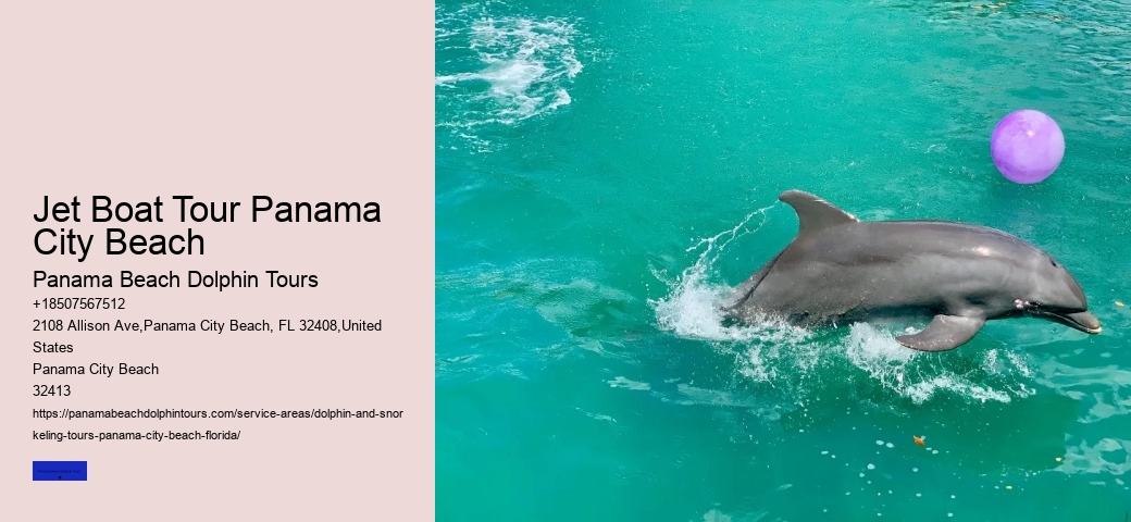 Do Dolphins Have A Dark Side
