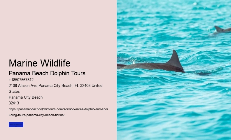 Best Panama City Beach Boat Tours