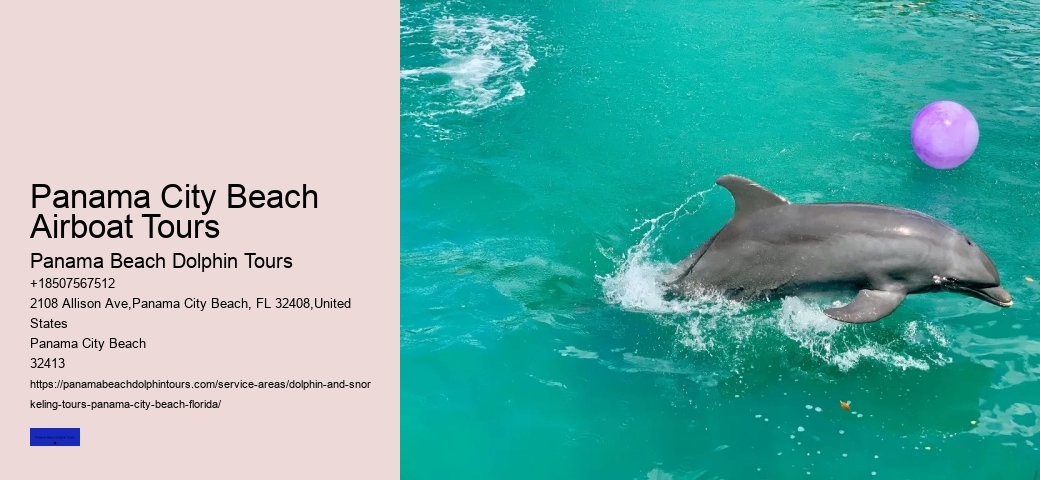 How To Swim With Dolphins