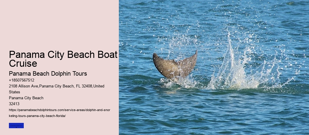 Dolphin Boat Tours Panama City Beach