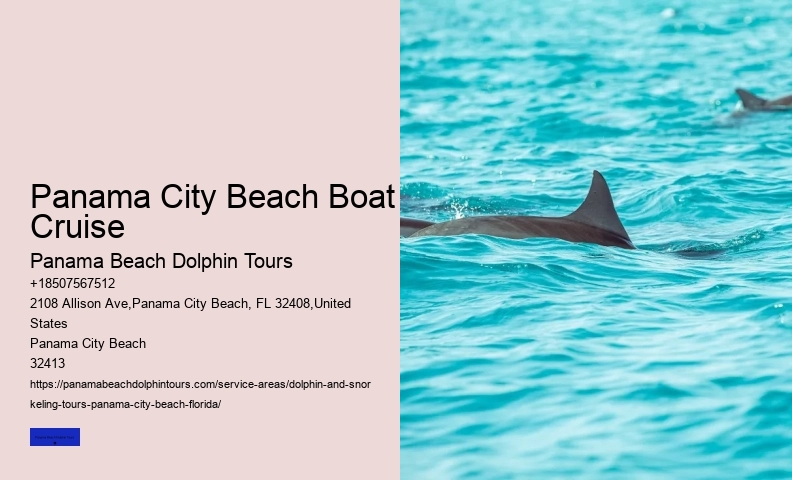 Dolphin Cruise Panama