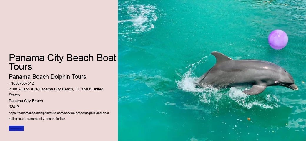 Boat Rides