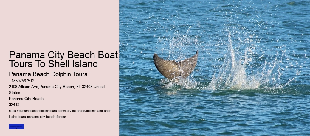 Best Dolphin Tours Panama City Beach