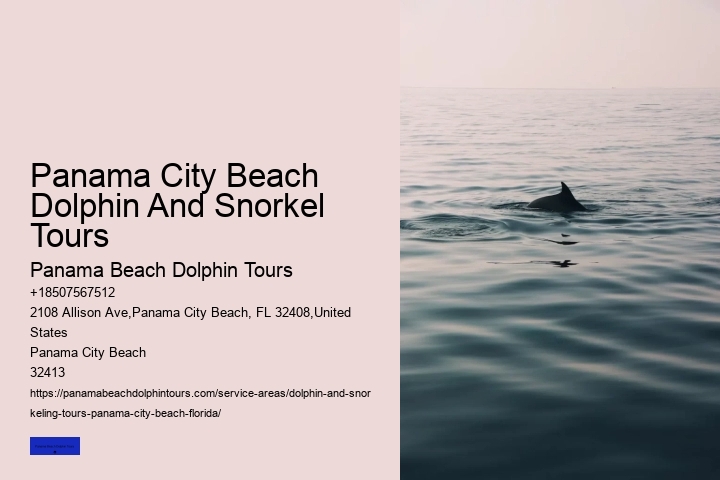 Panama City Beach Dolphin Tours & More Reviews