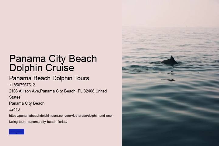 18 Best Places To Swim With Dolphins