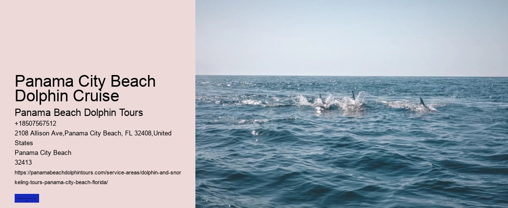 Dolphin Sightings