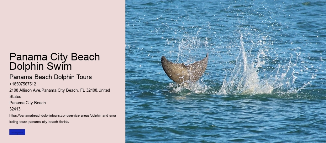 Top 7 Destinations For Whale Watching