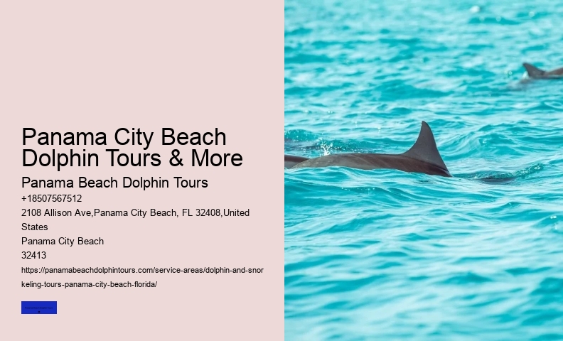 Snorkeling Tours