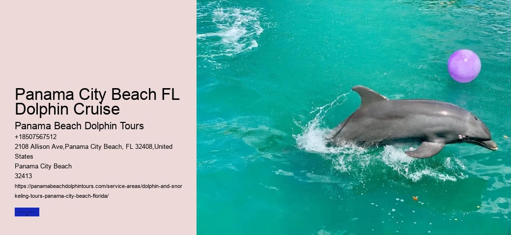 How Do You Spot Dolphins From Shore