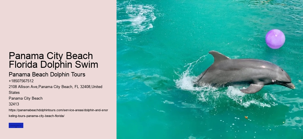 Can Dolphins Smell Menstrual Blood