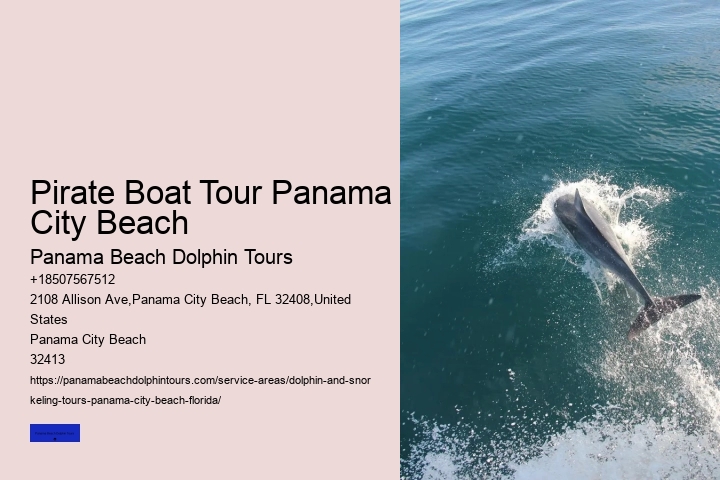 Panama City Beach Dolphin Tours & More Reviews
