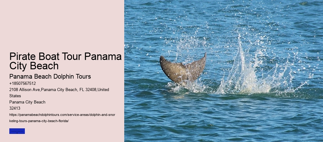 About Shell Island & Dolphins