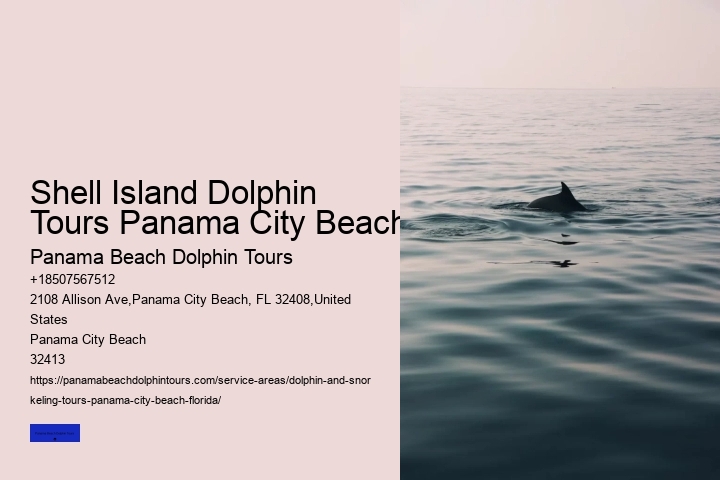 Where Is The Best Place To See Whales And Dolphins