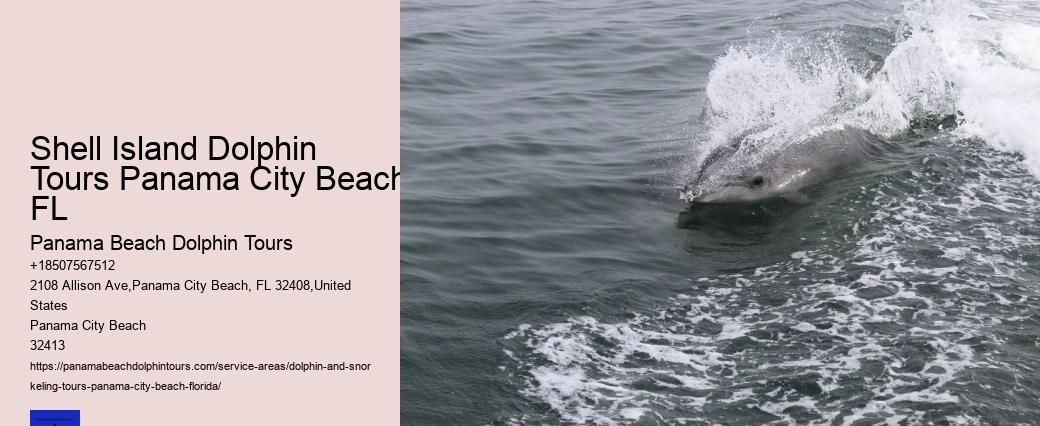 Is Swimming With Dolphins Ok For The Dolphins