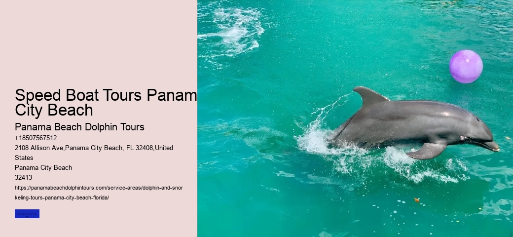 Sunset Boat Tours Panama City Beach