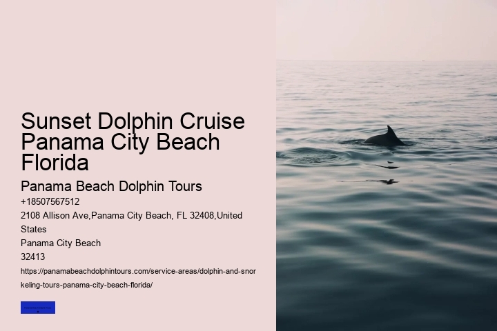 Panama City Dolphin Seafari