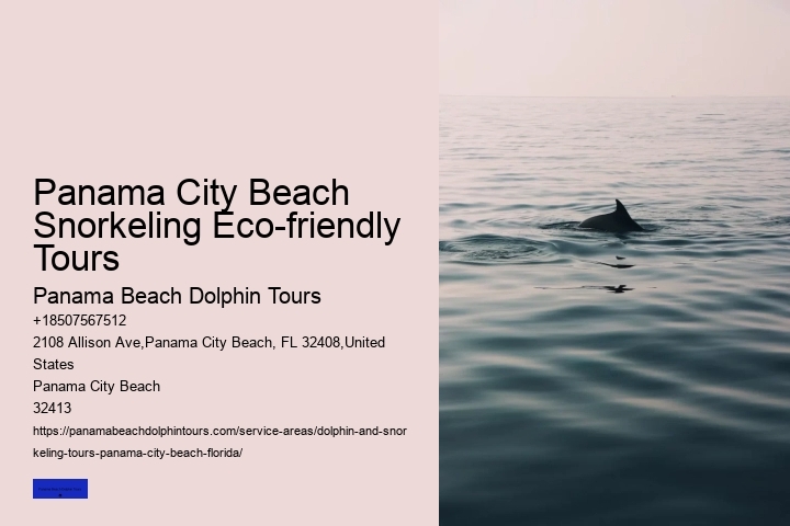 Panama City Beach Snorkeling Eco-friendly Tours